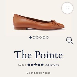 Margaux pointe ballet flat size 7M